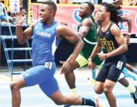 Golden day for Yellowjackets on the track