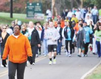 Awards given at heart/stroke walk