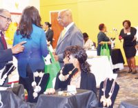 Expo Makes Grand Debut