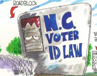Commentary: New voter ID amendment will only hurt eligible voters