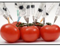 Letter to the Editor: Dangers of genetically-modified food