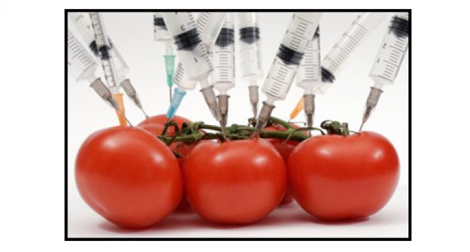 Letter to the Editor: Dangers of genetically-modified food