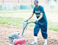 Grant to strengthen community garden program