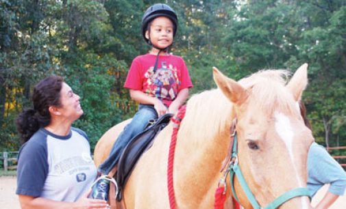 Center provides horseback therapy