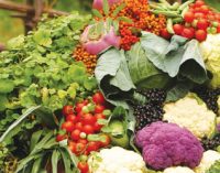Study: Local food benefits health and economy