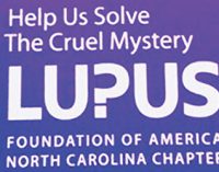 Lupus support meetings planned