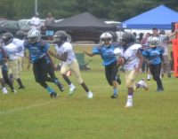 Ravens whip Panthers in Mighty Mite division