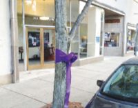 Anti-obesity effort paints the town purple