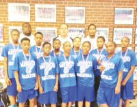 AAU team continues strong season