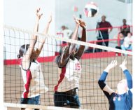 WSSU volleyball standouts make pre-season team