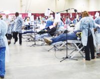 Volunteer dentists give hundreds something to smile about