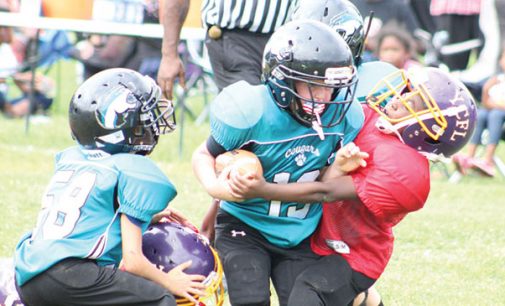 Youth football league holds jamboree at Carver High