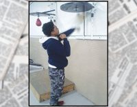 Nonprofit uses boxing to keep kids off the street