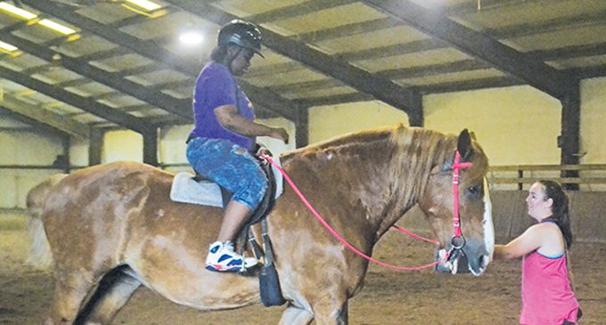 Horseback riding lessons help children affected by domestic violence