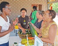 Check out a farmers market this week