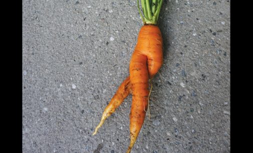 Commentary: Support ugly produce, which are just as good as their counterparts