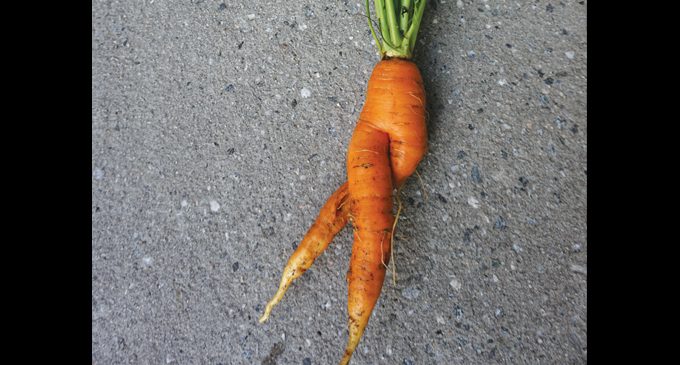 Commentary: Support ugly produce, which are just as good as their counterparts