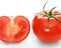 Tomatoes are a slice of good nutrition; try some today