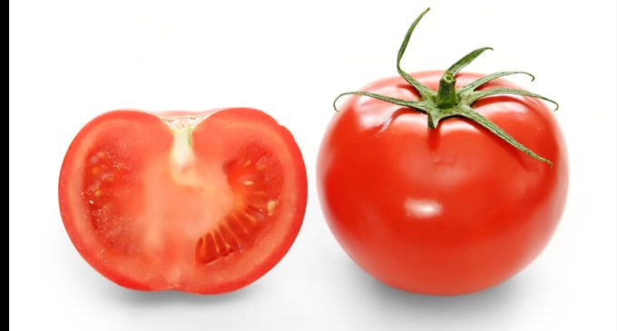 Tomatoes are a slice of good nutrition; try some today