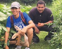 Young urban farmers look to take skills to the next level