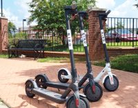 City Council may regulate Bird electric scooters