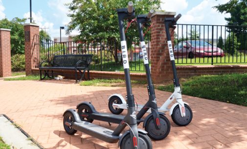 City Council may regulate Bird electric scooters