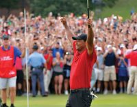 Tiger shocks the world with win