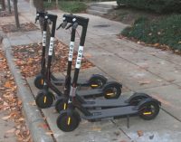 Bird Talk: Public Safety Committee begins discussion to regulate scooters