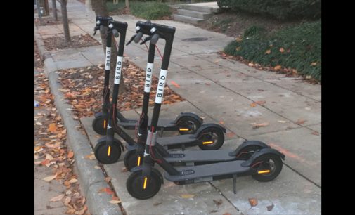 Public Works  Committee begins discussions on scooter regulations