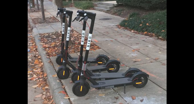 Public Works  Committee begins discussions on scooter regulations