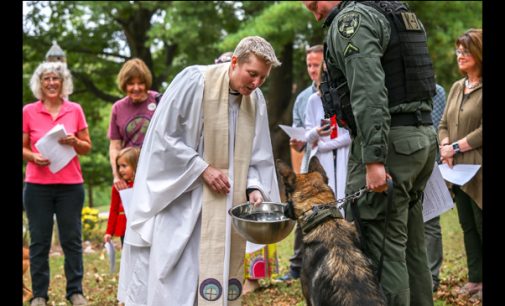 Special Blessing of the Animals held for police, sheriff K-9 units