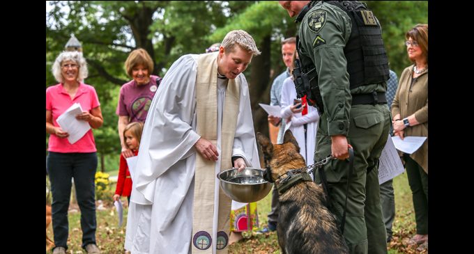 Special Blessing of the Animals held for police, sheriff K-9 units