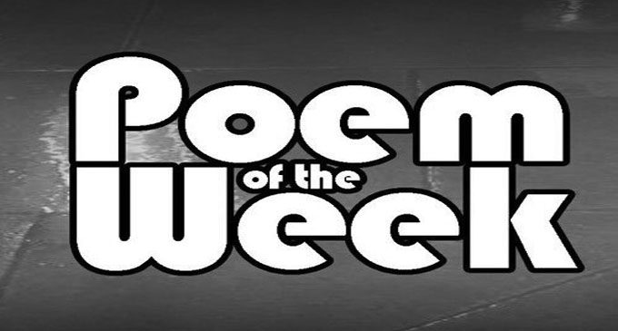 Poem of the Week: Mandemic (Virus in the form of a man)