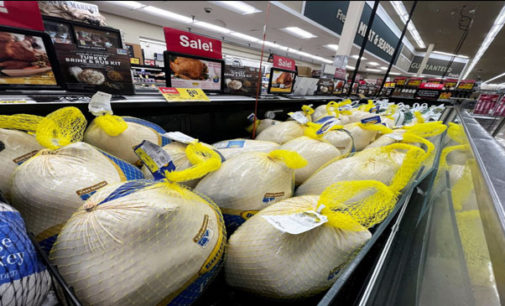 Are rumors of a holiday turkey shortage true?