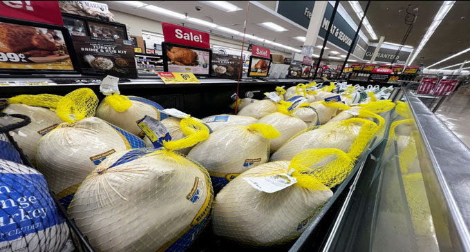 Are rumors of a holiday turkey shortage true?