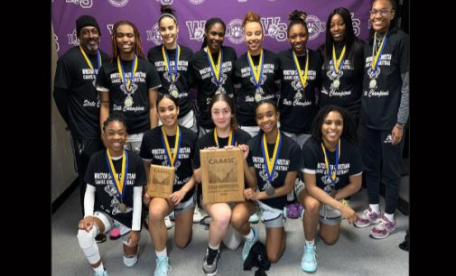 Lady Lions basketball team ends season on a high note