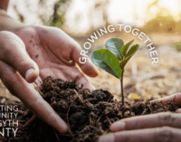 Come out and cheer the Cardboard Boat Regatta teams this Saturday, May 3, starting at 10 a.m. at Winston Lake