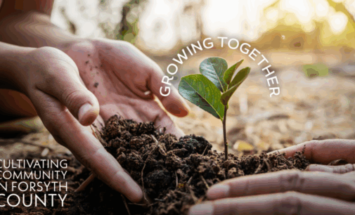 Come out and cheer the Cardboard Boat Regatta teams this Saturday, May 3, starting at 10 a.m. at Winston Lake