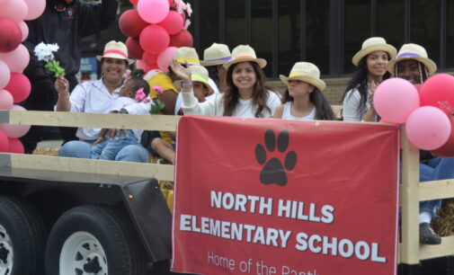 EmpowerHer Parade and Festival bring out the women, provide free resources     